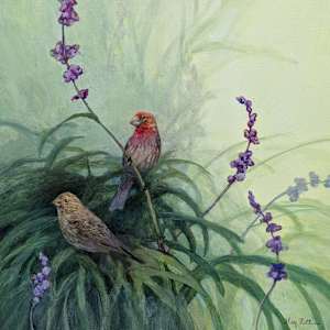 House Finch and Sage by Floy Zittin