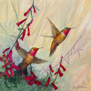 Hummingbird in Pursuit by Floy Zittin, Image 1.