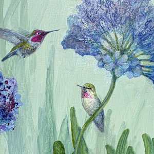 Hummingbird and Agapanthus by Floy Zittin, Image 1.