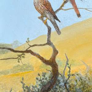 Kestrel Pair and Hills by Floy Zittin, Image 2.