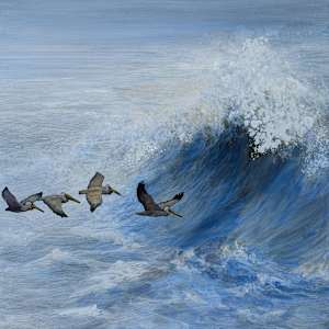 Pelicans and Wave by Floy Zittin