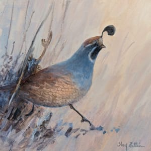 Quail Running Through Grass by Floy Zittin