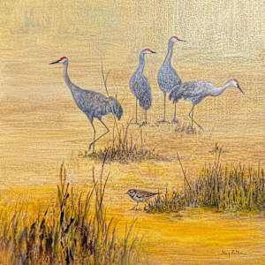 Sandhill Cranes and Killdeer by Floy Zittin, Image 1.