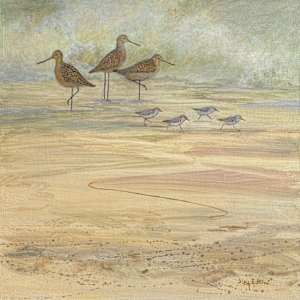 Shorebirds and Waves by Floy Zittin, Image 1.