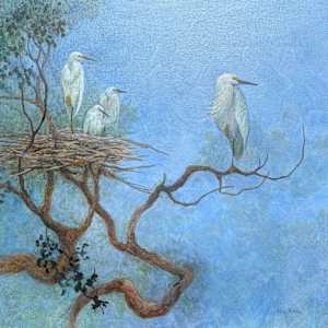 Snowy Egret Family by Floy Zittin, Image 2.
