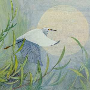 Soaring Snowy Egret by Floy Zittin