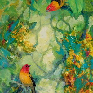 Western Tanagers by Floy Zittin