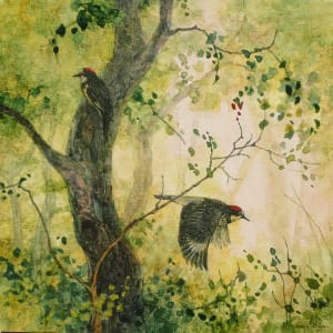 Acorn Woodpeckers by Floy Zittin
