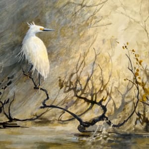 Snowy Egret by Floy Zittin