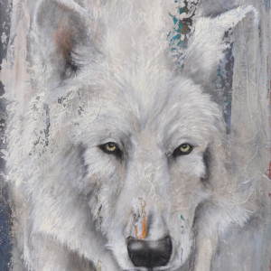 Arctic Wolf by Tabitha Benedict