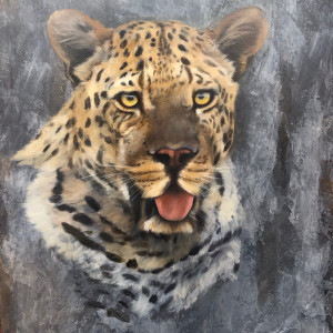 Male Leopard by Tabitha Benedict