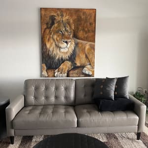 Wild by Tabitha Benedict 