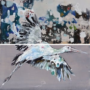 Cigüeña / Stork