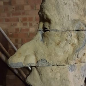 Head 1 by Markus Thonett 