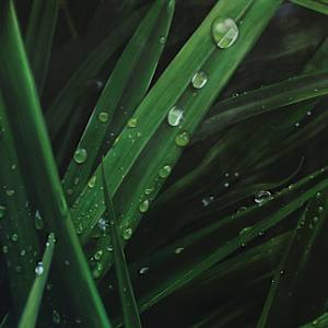 Tears of Life by Heather Bradbury, Image 1.