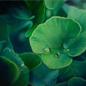 Layers of Stillness by Heather Bradbury, Image 1.