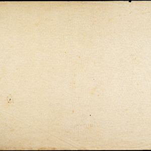 Untitled (Flying Bird Study I) by Michael Lester, Image 2.