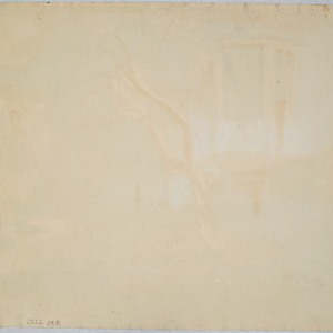 Untitled (Tree and Shadows), Image 1.