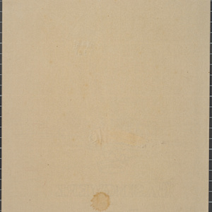 Untitled (Winning Merlin) by Michael Lester, Image 2.