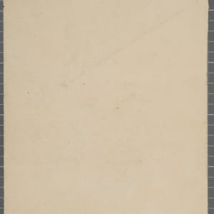 Untitled (Pelican Study) by Michael Lester, Image 1.