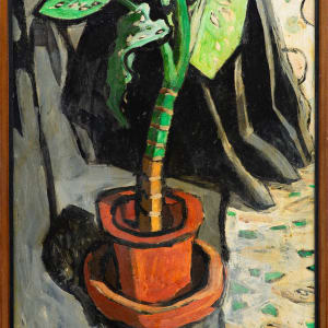 Caladium in Pot by Michael Lester, Image 1.