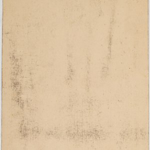 Untitled (Plant Study) by Michael Lester, Image 2.