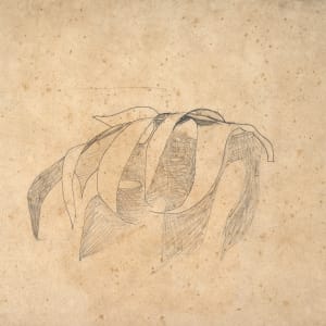 Untitled (Fruit Sketch) by Michael Lester, Image 2.