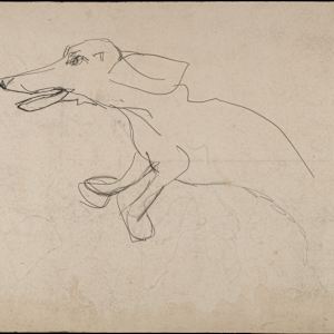 Untitled (Wiener Dog Study I) by Michael Lester, Image 1.