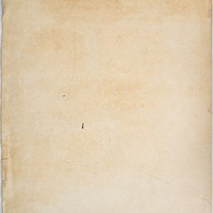 Untitled (Seated Woman with Plaid Skirt) by Michael Lester, Image 2.