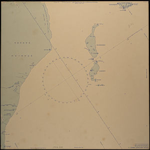 Untitled (Woman with Butterfly and Flowers) by Michael Lester, Image 1.