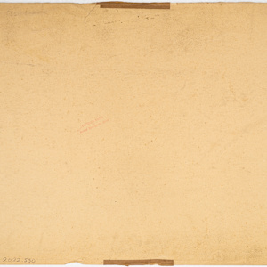 Untitled (Plum Tree, Jamaica) by Michael Lester, Image 1.