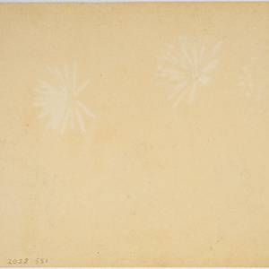 Untitled (Naturalistic Flower Study) by Michael Lester, Image 1.