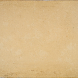 Untitled (Flower Shape Study) by Michael Lester, Image 1.