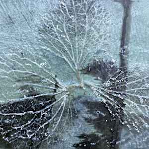 Remembering Footprints by Helen Keen, Image 2.