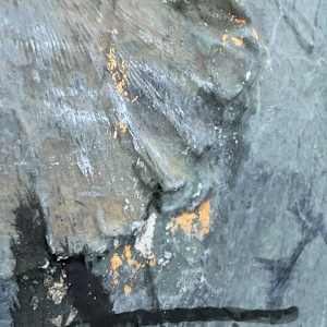 Remembering Footprints by Helen Keen, Image 5.