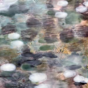 Rolling In The Deep by Helen Keen  Image: Closeup 