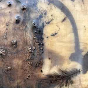 Imitate by Helen Keen  Image: Closeup 