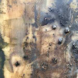Imitate by Helen Keen  Image: Closeup 