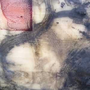 Influence by Helen Keen  Image: Closeup 