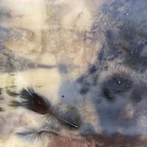 Influence by Helen Keen  Image: Closeup 