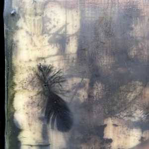 Investigate by Helen Keen  Image: Closeup 