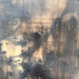 Investigate by Helen Keen  Image: Closeup 
