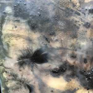 Interior by Helen Keen  Image: Closeup 