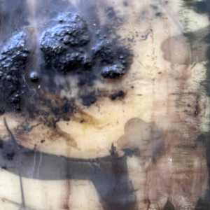 Interior by Helen Keen  Image: Closeup 