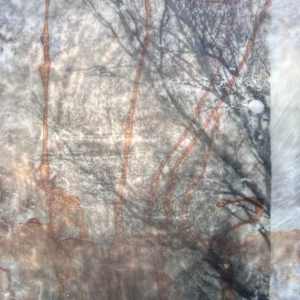 Renew by Helen Keen  Image: Closeup 