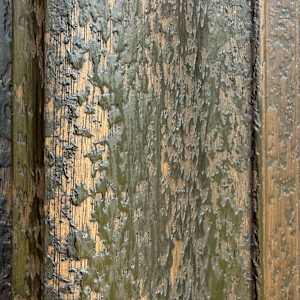 Glance by Helen Keen  Image: Wood Frame 