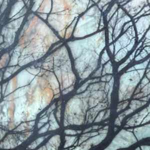 Breathe Out by Helen Keen  Image: Closeup 