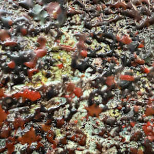 Purest Potential by Helen Keen  Image: Closeup 