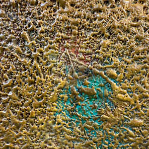 From Nowhere by Helen Keen  Image: Closeup 
