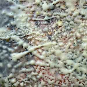 Come Closer by Helen Keen  Image: Closeup 